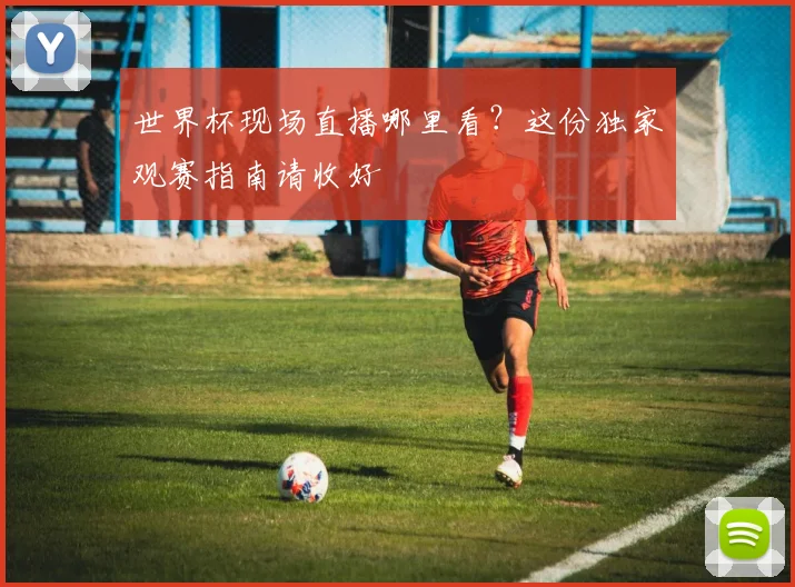 世界杯现场直播哪里看？这份独家观赛指南请收好