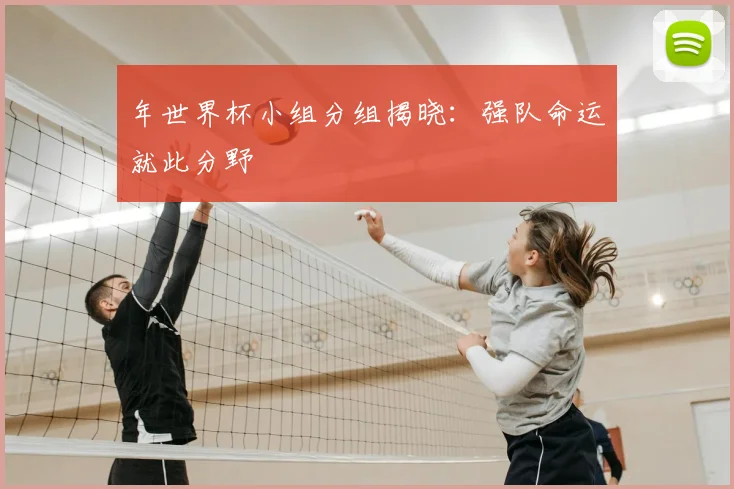 年世界杯小组分组揭晓：强队命运就此分野