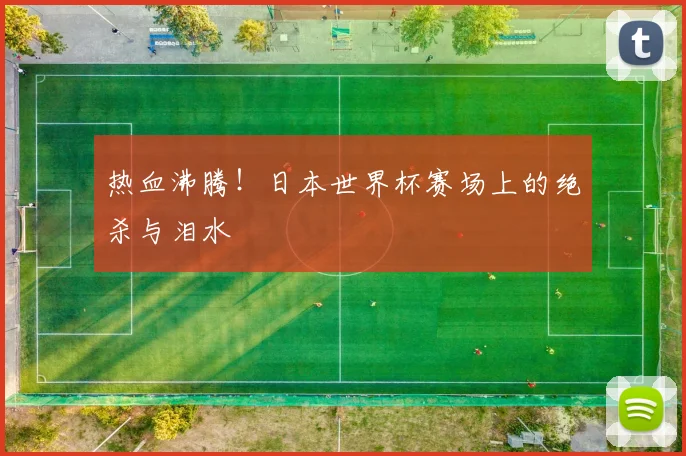 热血沸腾！日本世界杯赛场上的绝杀与泪水