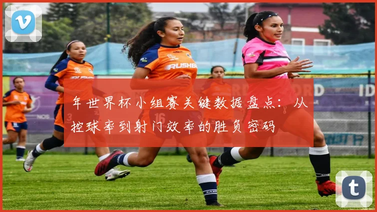 年世界杯小组赛关键数据盘点：从控球率到射门效率的胜负密码