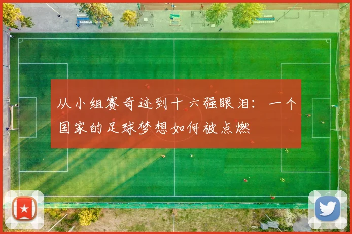 从小组赛奇迹到十六强眼泪：一个国家的足球梦想如何被点燃