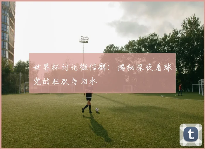 世界杯讨论微信群:揭秘深夜看球党的狂欢与泪水